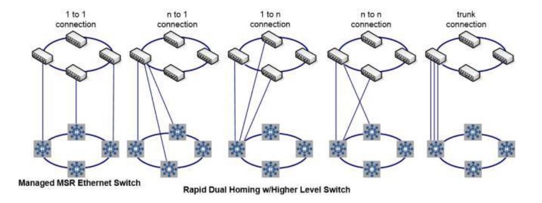 Dual Homing redundancy