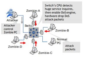 Denial of Service (DoS) Prevention